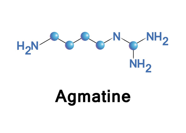 agmatine vs arginine