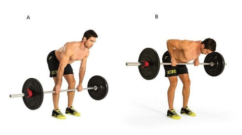 Bentover barbell Row
