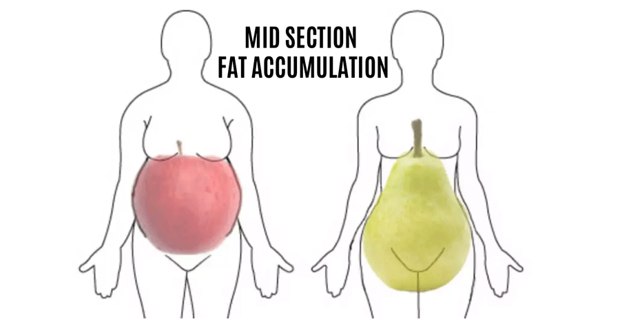 types of belly fat