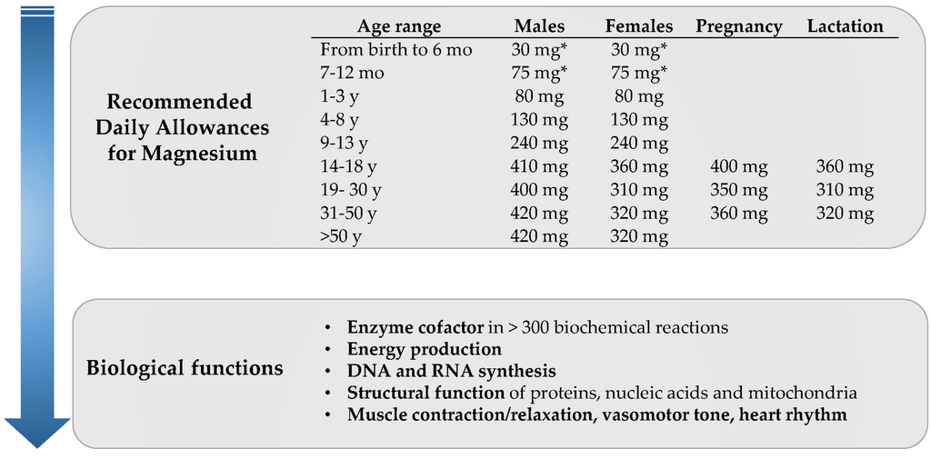 How much magnesium per day