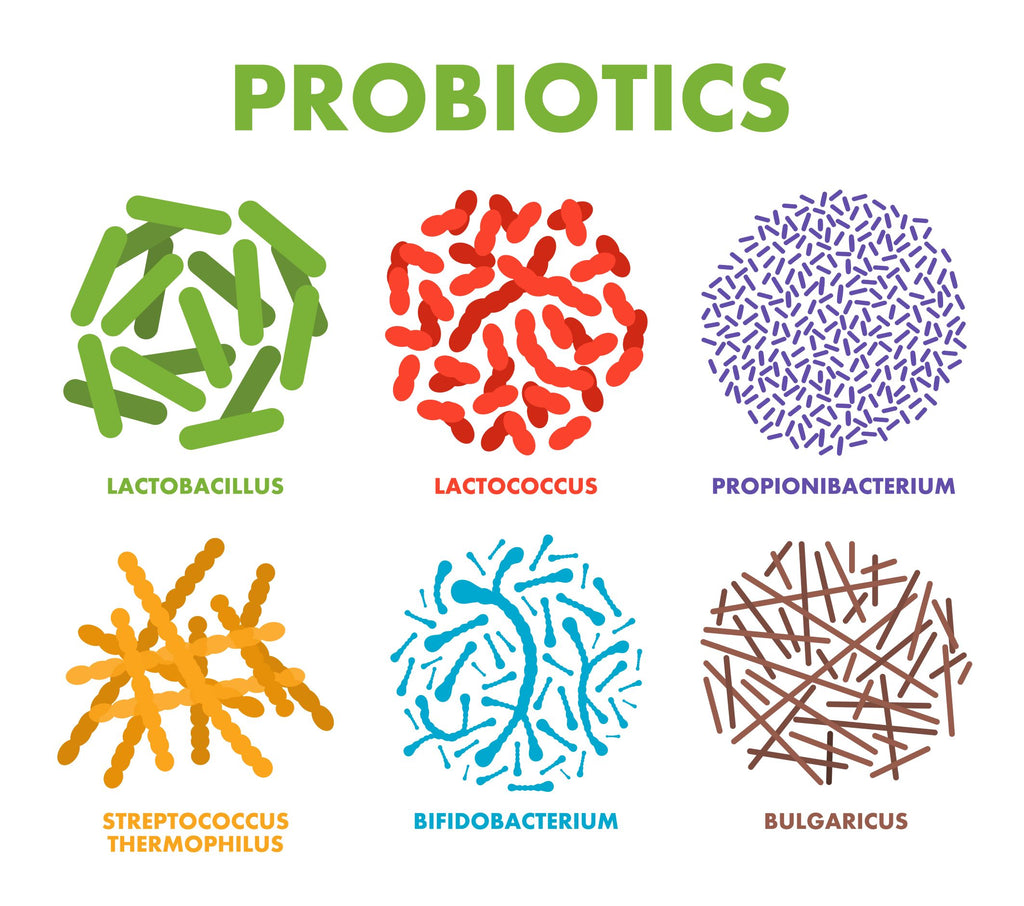 best types of probiotics